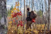 Sawbill Trail Handlebar Bag - Orange