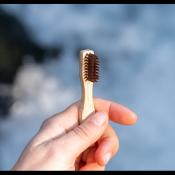 Brosse à dents de voyage