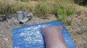 Matelas mousse - Radical Alu Mat Ultralight 3 mm