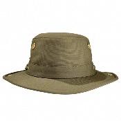T3 - Olive