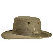 T3 - Olive