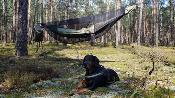 Jungle Hammock Set