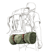 Bedroll Strap