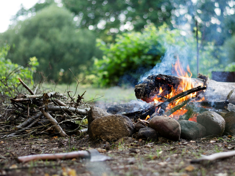 Bushcraft pour débutants : guide complet pour apprendre le bushcraft