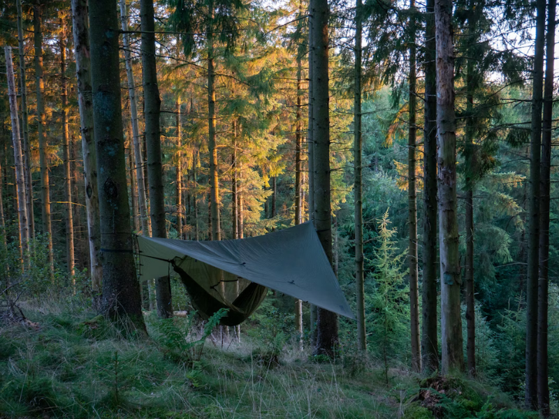 Hamac bushcraft : avantages, inconvénients et meilleurs modèles pour bivouaquer