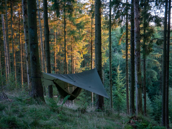 Hamac bushcraft : avantages, inconvénients et meilleurs modèles pour bivouaquer