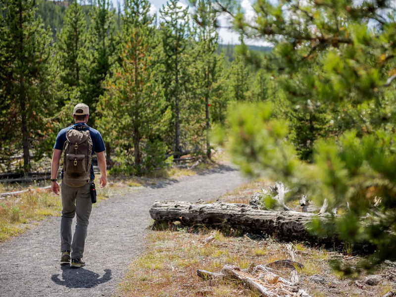 Liste des indispensables bushcraft : que mettre dans son sac pour partir en autonomie