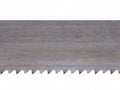 Lame Hunter 15"
