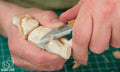 Couteau de Sculpture C2 - Bench Knife