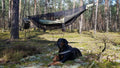 Jungle Hammock Set