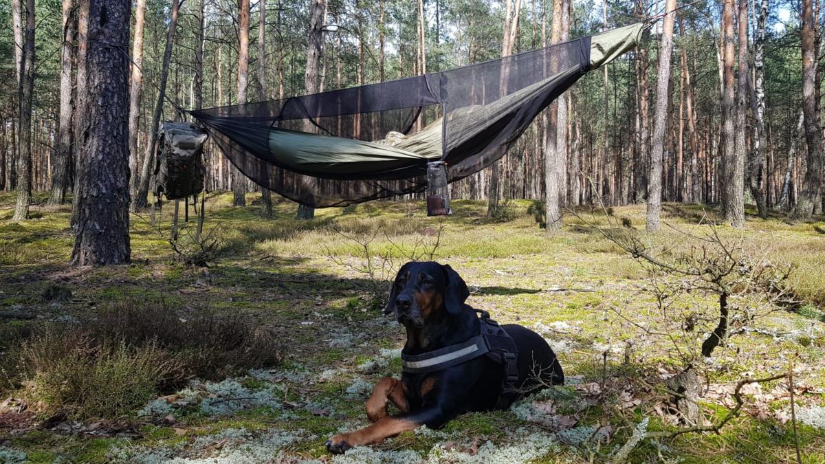 Jungle Hammock Set