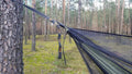 Jungle Hammock Set