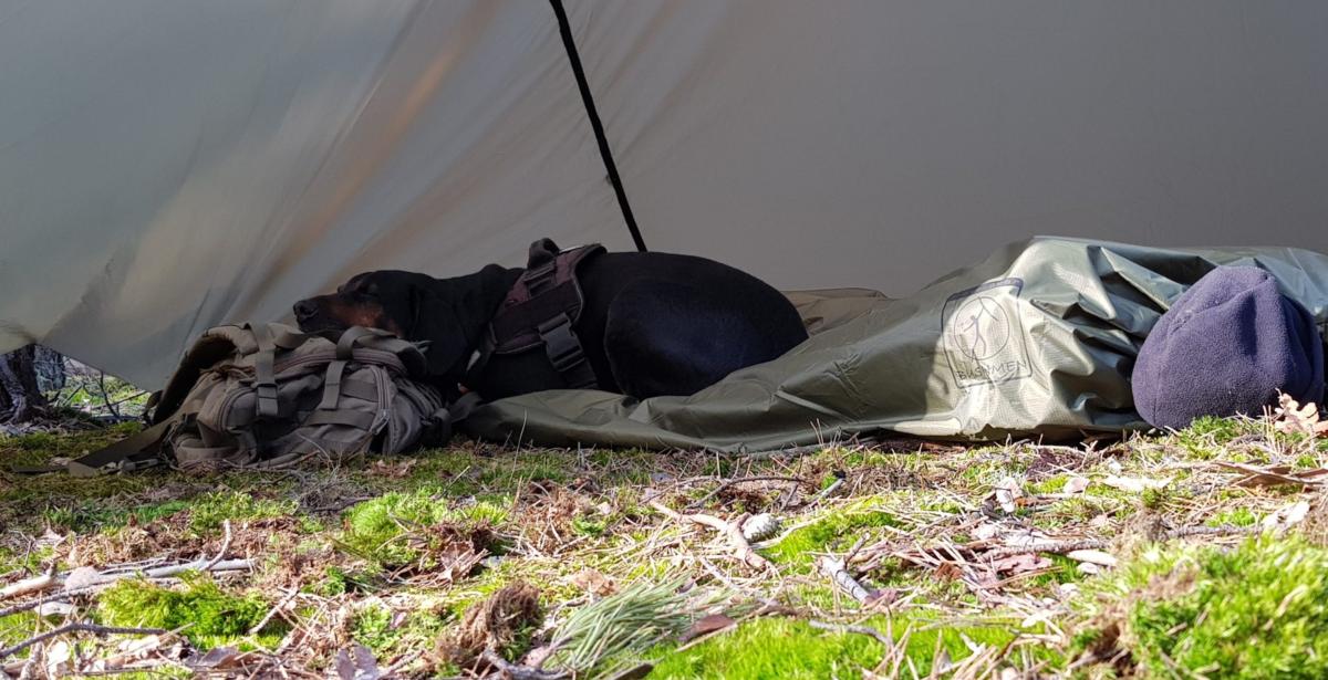 Thermo Blanket - Olive