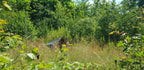 Thermo Tarp 2x3 - Camo