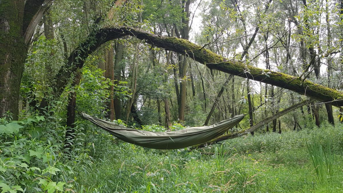 Zen Hammock - Olive