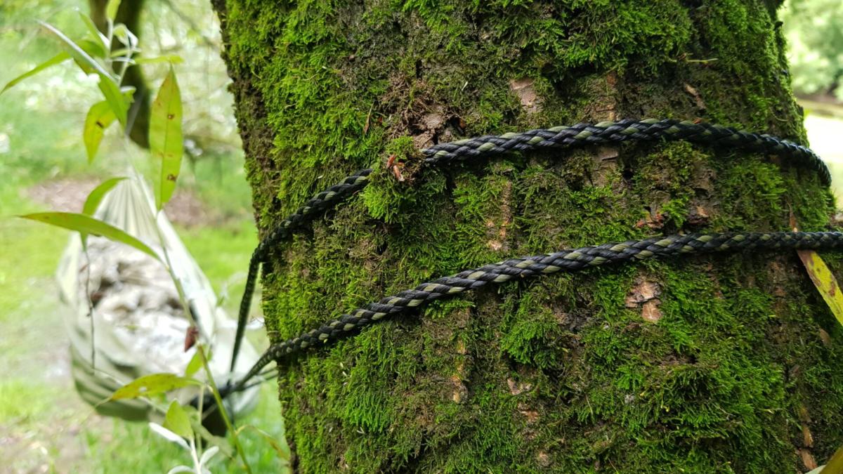Zen Hammock - Olive