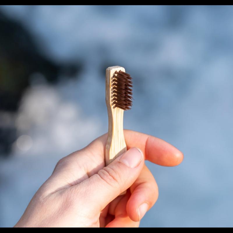 Brosse à dents de voyage