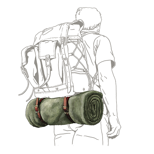 Bedroll Strap